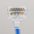 BLUE PATCH CORD - BOTTOM