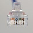 BLUE PATCH CORD - TOP