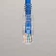 BLUE PATCH CORD - TOP_BOTTOM