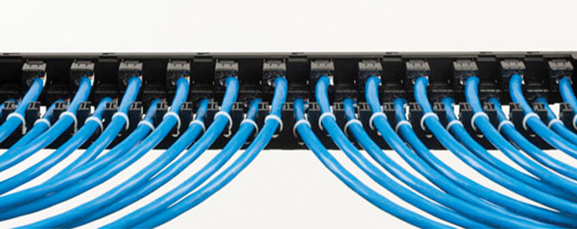 CAT6A Modular Patch Panels, back of panel angled straight on