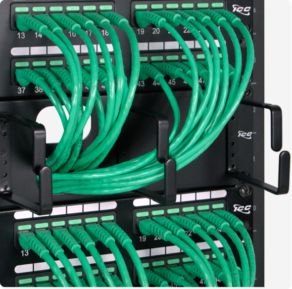 CAT6 Patch Panel with Green Patch Cords