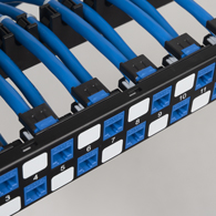 CAT6A Keystone connectors on patch panel