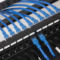 CAT6A keystone couplers on blank patch panel with hinged bracket