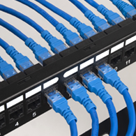 CAT6A keystone couplers on patch panel