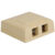 Elite Surface Mount Box with 2 Ports