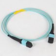 mtp-mtp-plenum-mm-50-125-om3-fiber-optic-patch-cable-end-to-end-revb