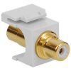 RCA to RCA Modular Jack with White Insert and Gold Plated Connector in HD Style and White