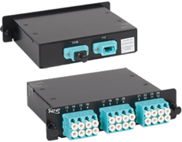 Classic LC-MPO Cassette with 24 10G OM3 Fibers