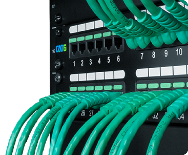 CAT6 Patch Panel with Green Patch Cords