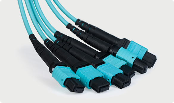 MTP MPO Patch Cords